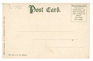 MA - Pittsfield. North Street circa 1900