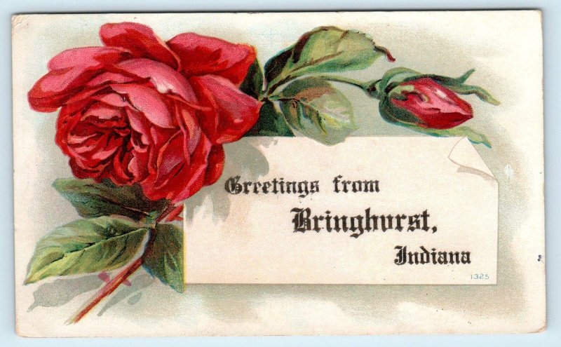 Greetings from BRINGHURST, IN Indiana ~  ROSES  1909 Carroll County  Postcard