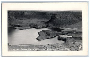 Dry Falls S P Washington WA Postcard RPPC Photo Alligator Head 1941 Vintage
