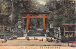 Beautiful Early c.1908, Second Torii at Kasuga Shrine, Nara, Old Post Card