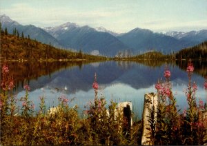 Canada Britsh Columbia Golden Susan Lake At The Selkirk Mountains