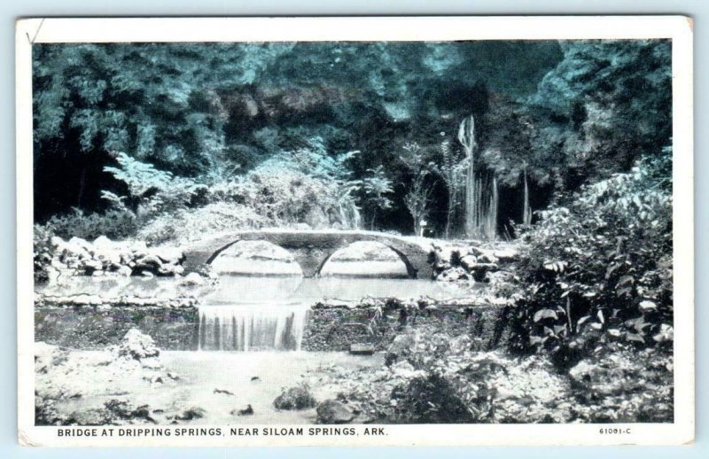 DRIPPING SPRINGS near Siloam Springs, Arkansas AR ~ BRIDGE ca 1910s  Postcard