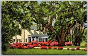 Vtg Mobile AL Old Southern Home Residence Moss Oaks Azaleas 1940s View Postcard