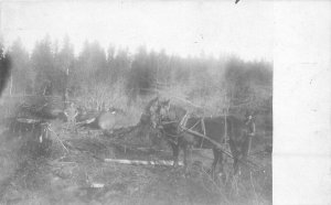 Postcard RPPC C-1910 Logging Lumber horse team 23-5521