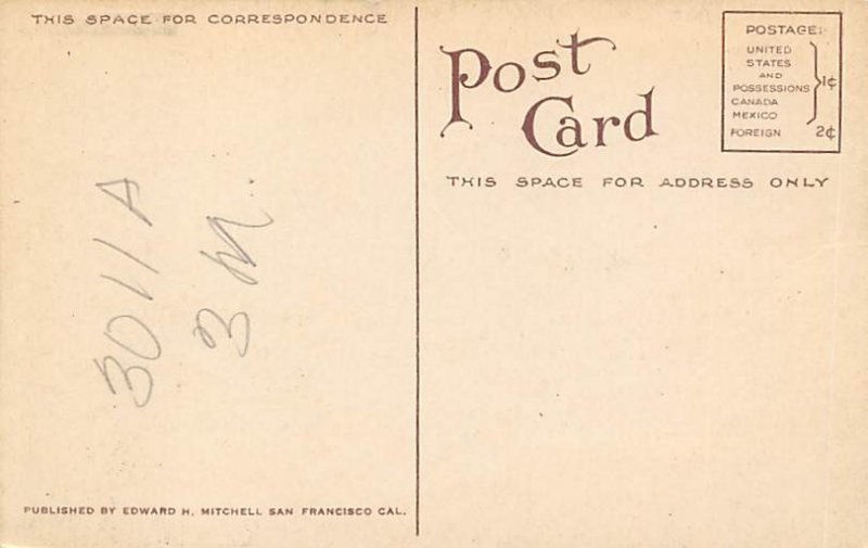 Strawberry Fields California, USA Farming Writing on back 