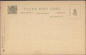 Scarce Unnumbered TUCK Series Bug Insect Study Perforated Edges Postcard #8