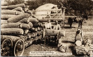 Exaggeration Good Corn Makes Good Hogs Pig Wagon c1912 RPPC Postcard F55