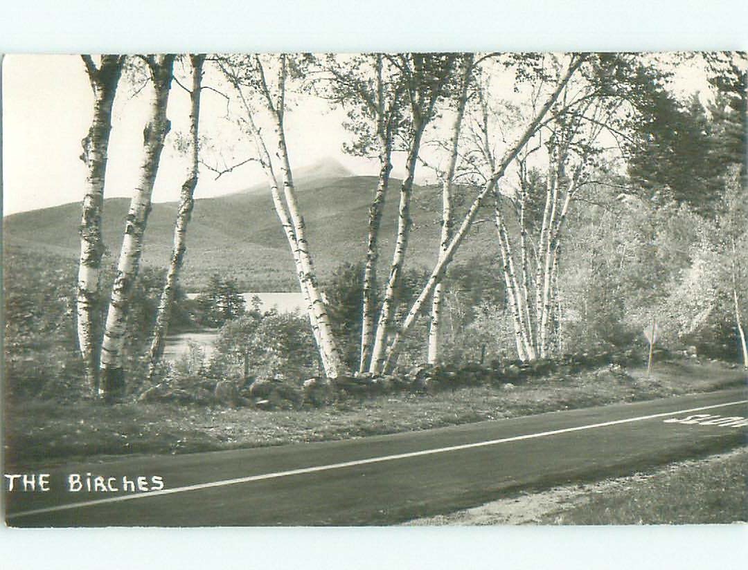 1960's rppc NICE VIEW The Birches In East Weymouth Near Boston MA