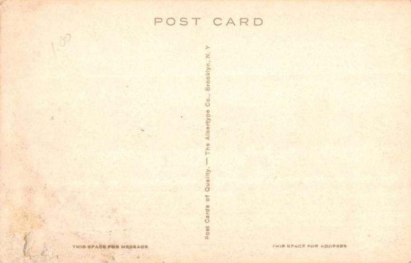 Pocassett Massachusetts Wenaumet Bluffs Birdseye View Antique Postcard K77866