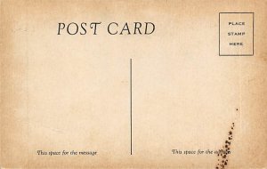 SS Nerissa Furness Line Ship Unused 