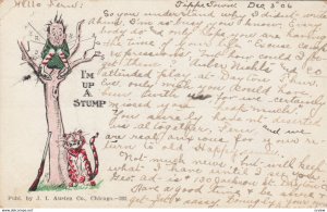 Tiger trees a man , 00-10s