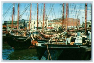 1959 Fishing Fleet Docking Caught Gulf Of Mexico Pensacola Florida FL Postcard