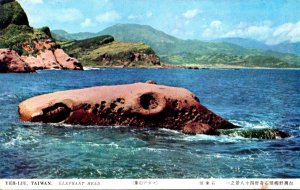 Taiwan Yeh-Liu Elephant Head Rock