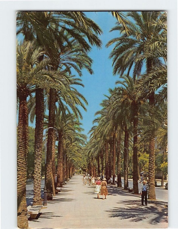 Postcard Paseo de Sagrera, Palma, Spain