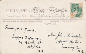 Royal Hotel St. John NB New Brunswick c1908 Postcard F57