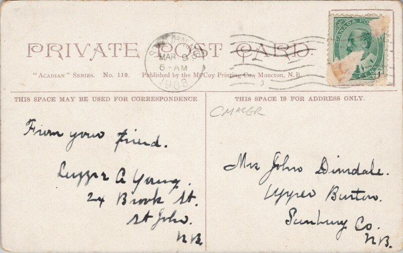 Royal Hotel St. John NB New Brunswick c1908 Postcard F57