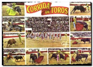 Postcard Modern Various phases of a bullfight Bull