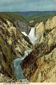 Yellowstone National Park The Lower Falls From Moran Point 1975