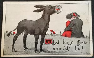 Vintage Postcard Unused “What Fools these mortals be” Mule Couple LB