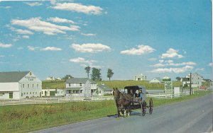 Pennsylvania Dutch Amish in Buggy Near Intercourse Pennsylvania