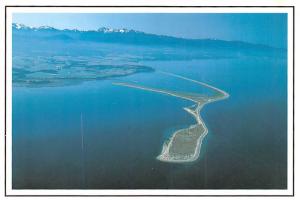 Dungeness Spit - Sequim, Washington