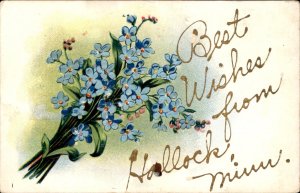 Hollock Minnesota Embossed Flower Greeting c1900-20s Vintage Postcard