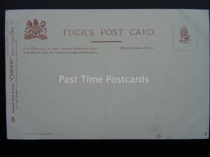 British Fish Series ll SALMON & TROUT c1911 Postcard by Raphael Tuck 1549