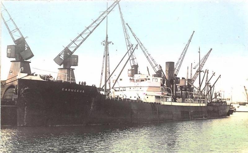 Caduceus Cargo Steam Ship Tinted Real Photo 2 RPPC Postcard