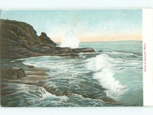 Pre-1907 NATURE Ogunquit by Wells & York & Portsmouth & Kennebunkport ME AD8631