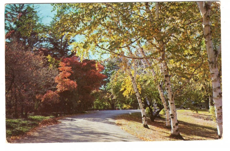 Winding Road, Used 1954, Portsmouth, Virginia