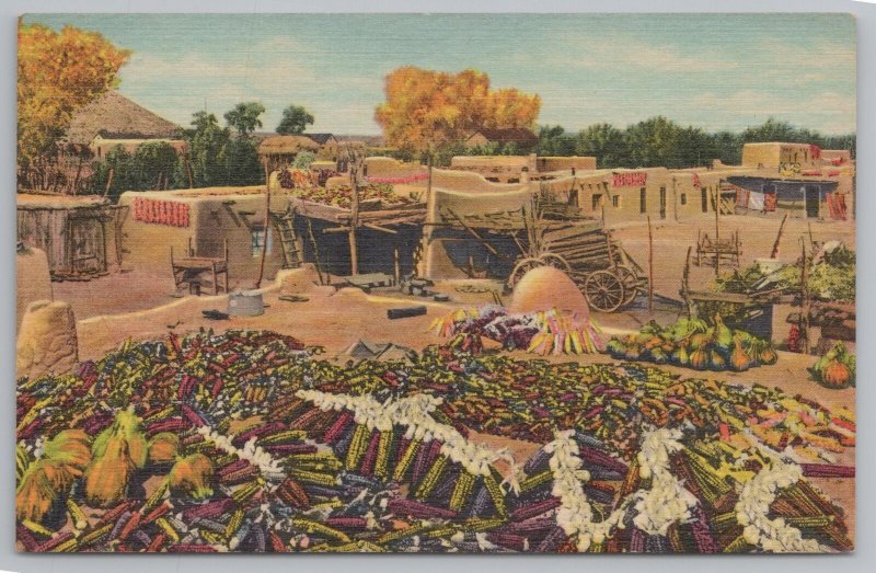 Native Americana Indian~Harvest Time At Santa Clara Pueblo NM~Vintage Postcard 