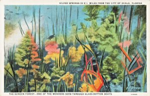 SILVER SPRINGS FLORIDA~THE SUNKEN FOREST-SEEN THROUGH GLASS BOATS~1920s POSTCARD