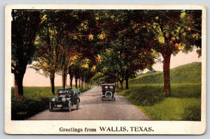 Wallis Texas Greetings~Scenic View~Tree Lined Road~Vintage Autos Meet~c1916 