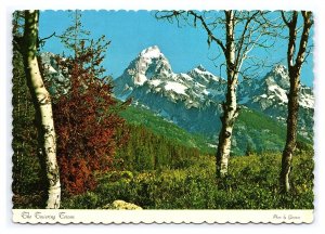 The Towering Tetons Wyoming Continental View Postcard Mountain Aspen