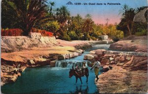 Algeria Un Oued Dans La Palmeraie Vintage Postcard C153