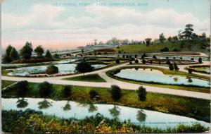 Lily Ponds Forest Park Springfield MA Mass Vintage Postcard D74