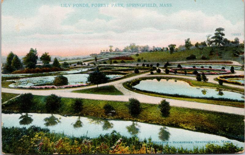 Lily Ponds Forest Park Springfield MA Mass Vintage Postcard D74 