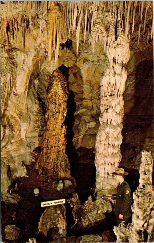 Devils Spring Carlsbad Caverns National Park Interior New Mexico Chrome Postcard 