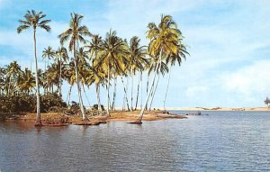 Bedok Beach Singapore Unused 