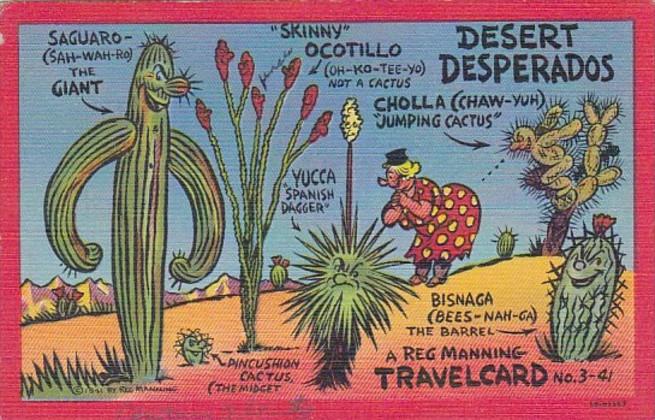 Humour Reg Manning Travel Card Desert Desperados 1942 Curteich