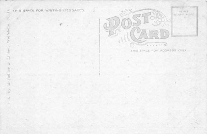 25309 NH, Wolfeboro, Interior of Libby Museum