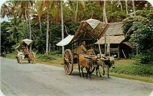 Southeast Asia, Malacca, Malaya, Bullock Carts, Dexter Press 5189B