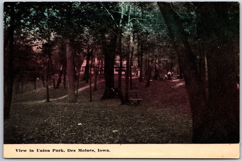 View In Union Park Des Moines Iowa IA Forest Trees Wooded Area Postcard
