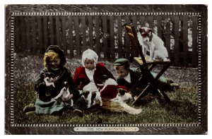 Antique Children with Puppies, The New Playmates, Postcard