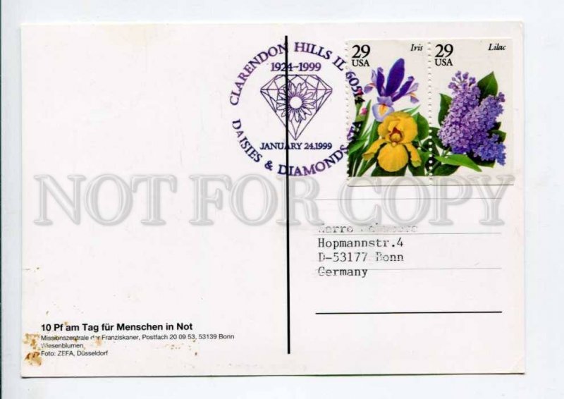 422242 USA to GERMANY 1999 year Dasies & Diamonds RPPC w/ flowers stamps