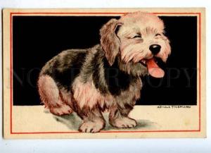 176988 Charming TERRIER Dog by TILGMANN Vintage PC