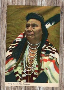 Chief Joseph of The Nez Perce Portrait Native American Indian Postcard In Color