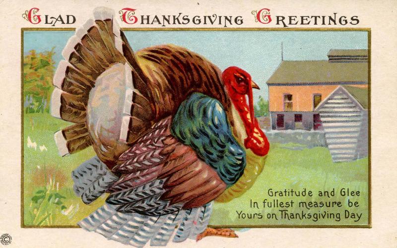 Greeting - Thanksgiving, Turkey