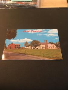 Vtg Postcard: Amish Farmstead 