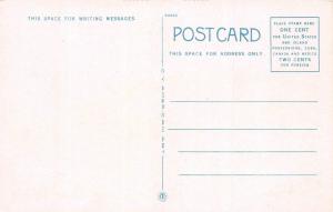 A96/ Bradenton Florida Fl Postcard c1910 Manavista Hotel Buildingl